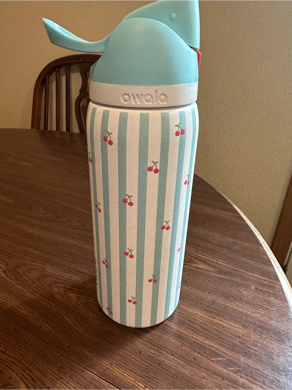 Owala Cherry Stripe Water Bottle- Special Edition